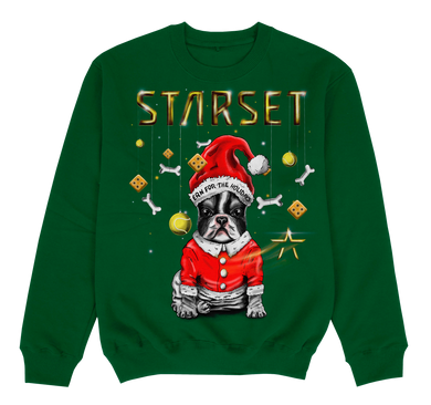 **LIMITED EDITION** ERNIE HOLIDAY SWEATER